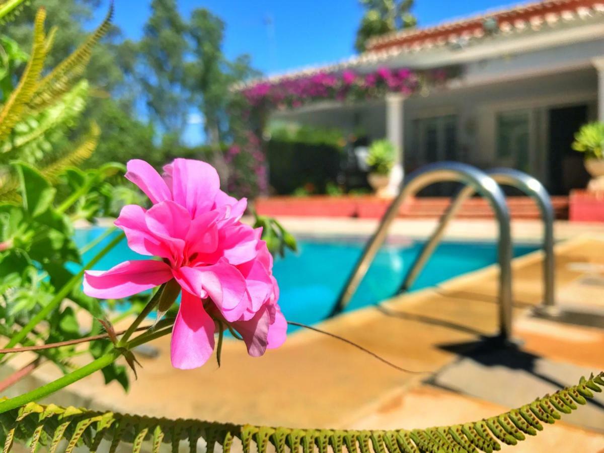Frühstückspension El Nácar Marbella