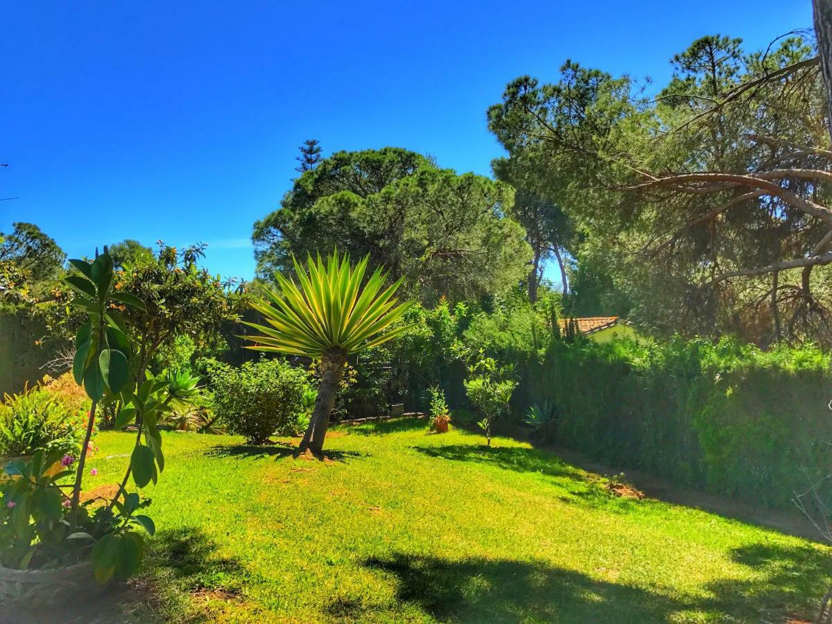 El Nácar * Marbella