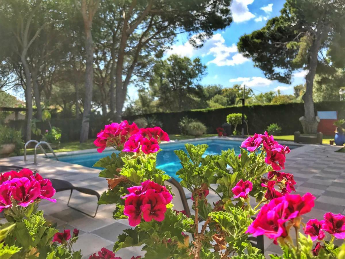 El Nácar Frühstückspension Marbella