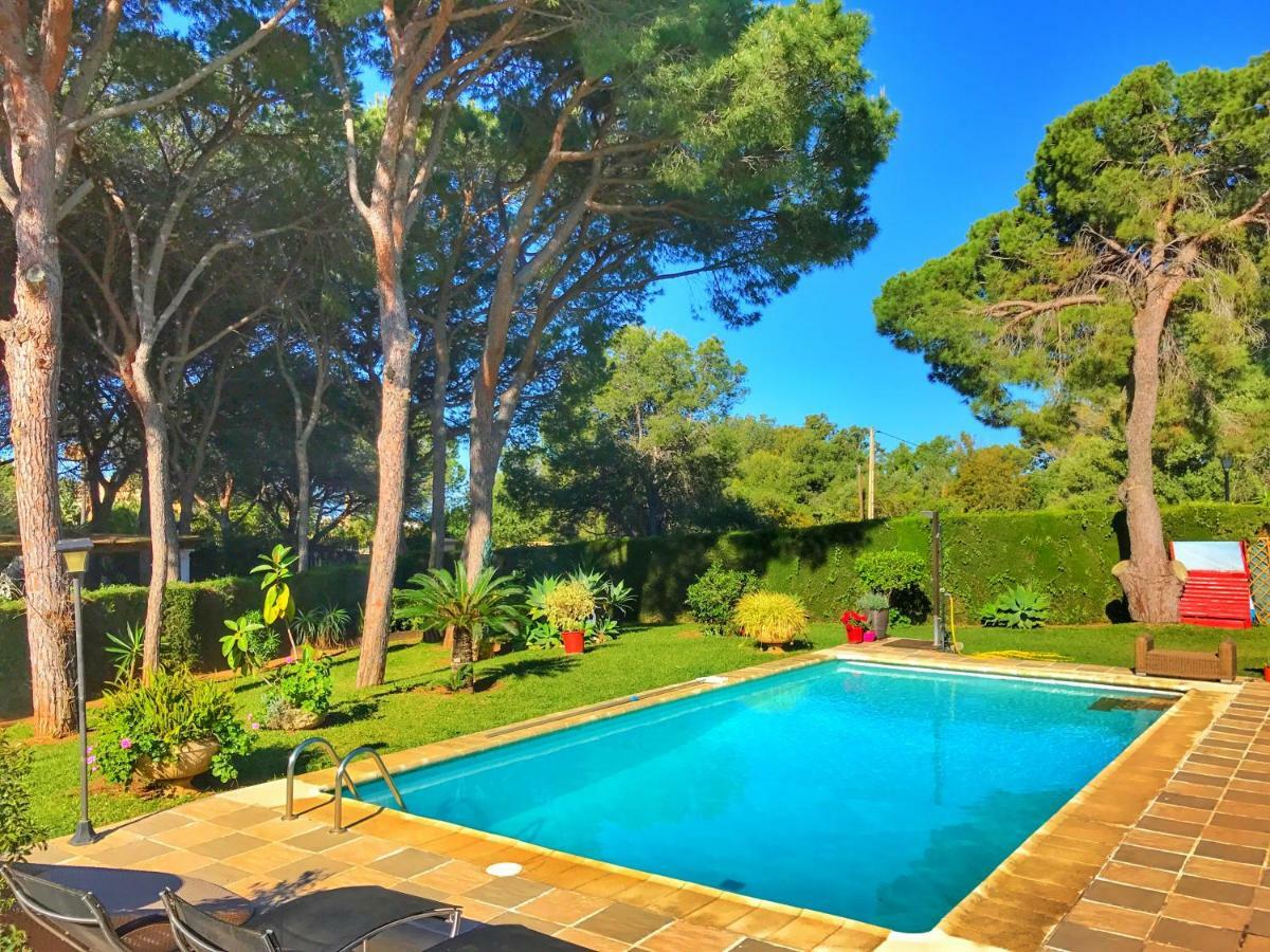 Bed & Breakfast El Nacar